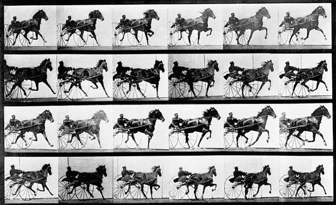 photo by Eadweard Muybridge